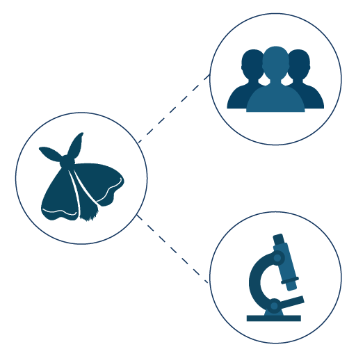 Invasive Species Training Program